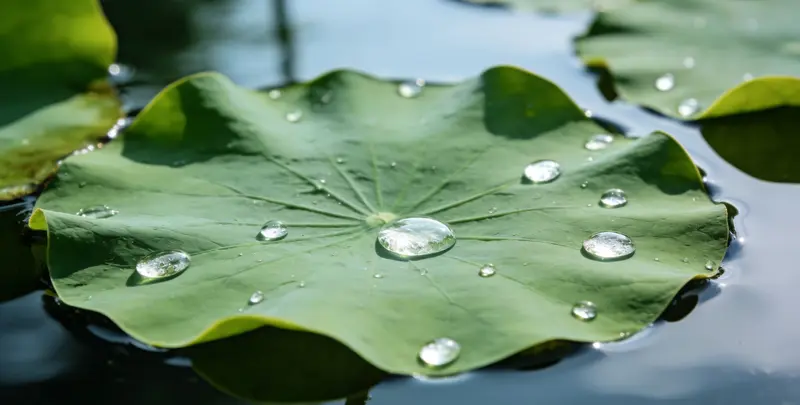 南通乳腺癌21基因mRNA表达分析图片1