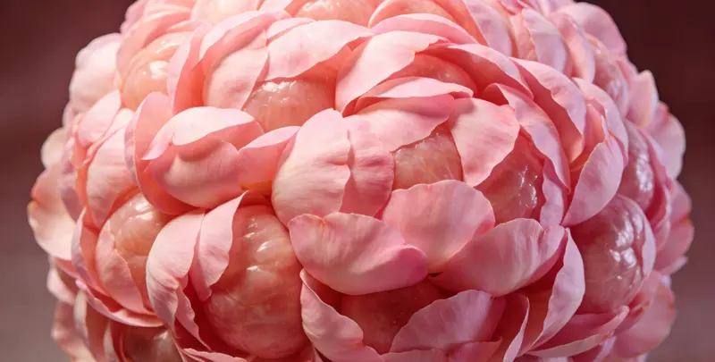 南通BRCA1/2乳腺癌卵巢癌基因检测图片1